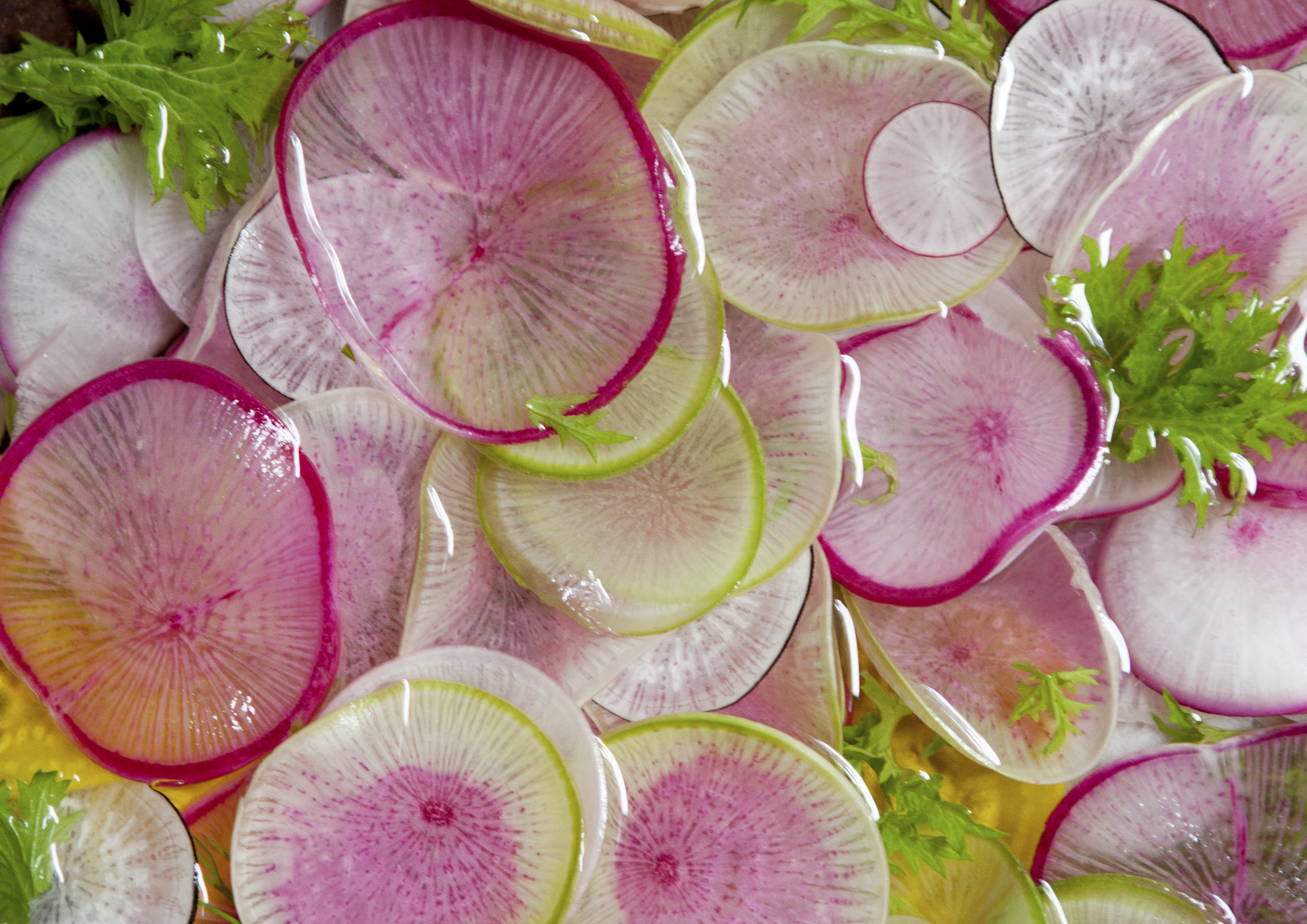 【PHOTO BOOK】,CIRCLE