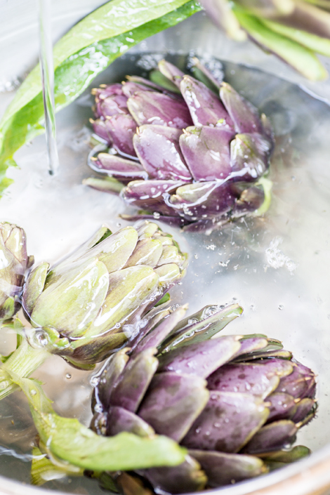 【PROJECT】,FARM CANNING