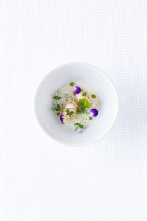 【Catalog】,NOVARESE