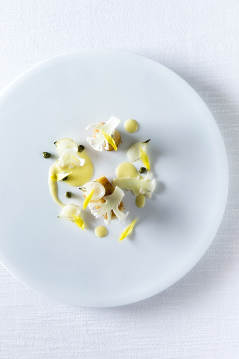 【Catalog】,NOVARESE