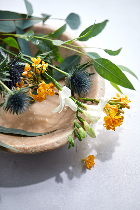 【Brand Visual】,epo