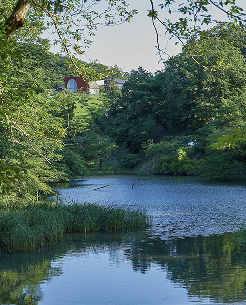 【TABLOID】,KURKKU FIELDS STORY