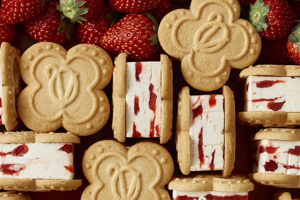 【 Brand Visual 】,VERY RUBY CUT