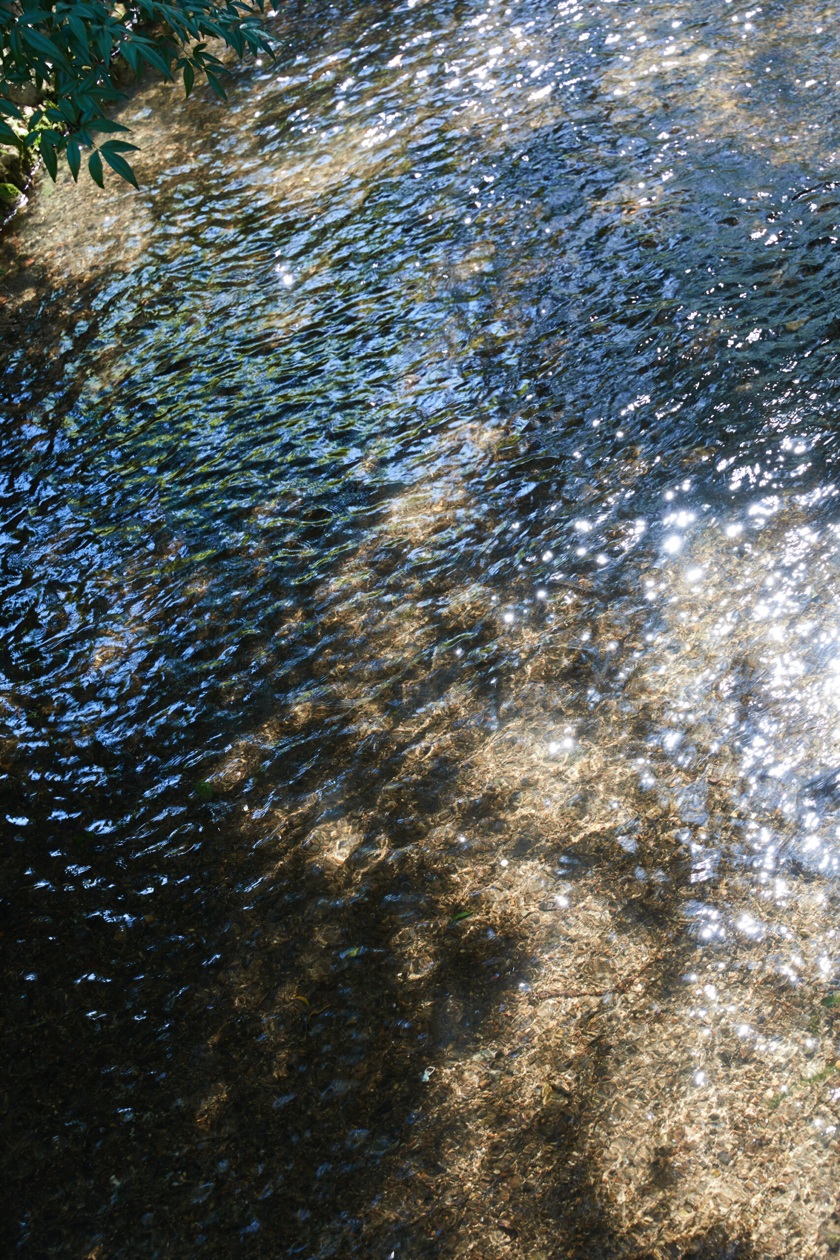 【Photobook】,monk