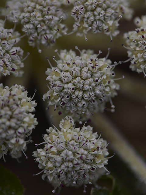 【 Brand Visual 】,TERROIR essential drop