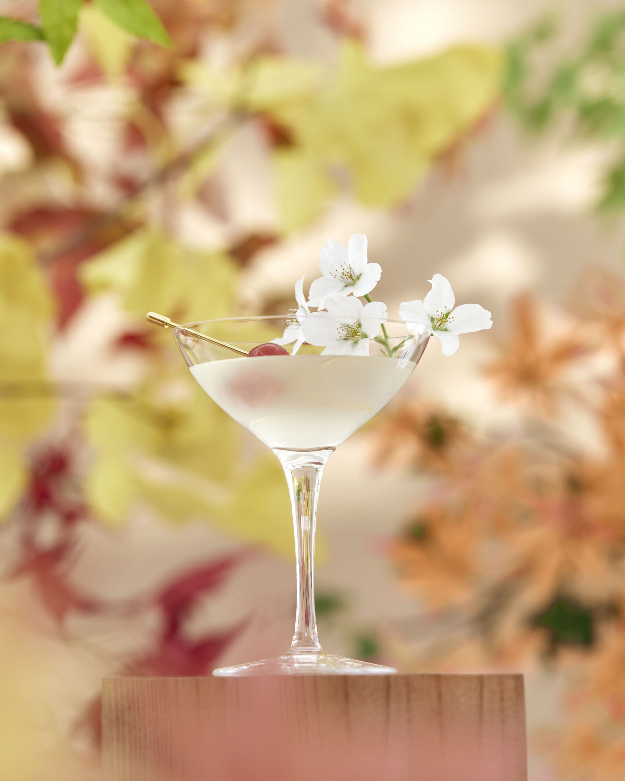 【 Brand Visual 】,SUNTORY ROKU